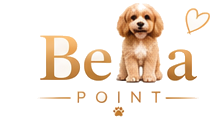 Bella Point
