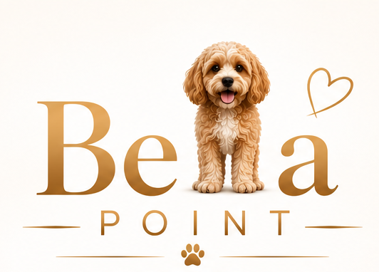 Bella Point - logo